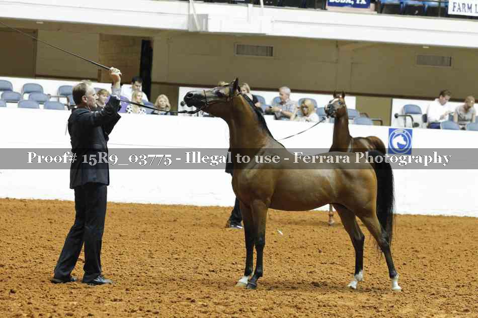 Proof 15R9_03775