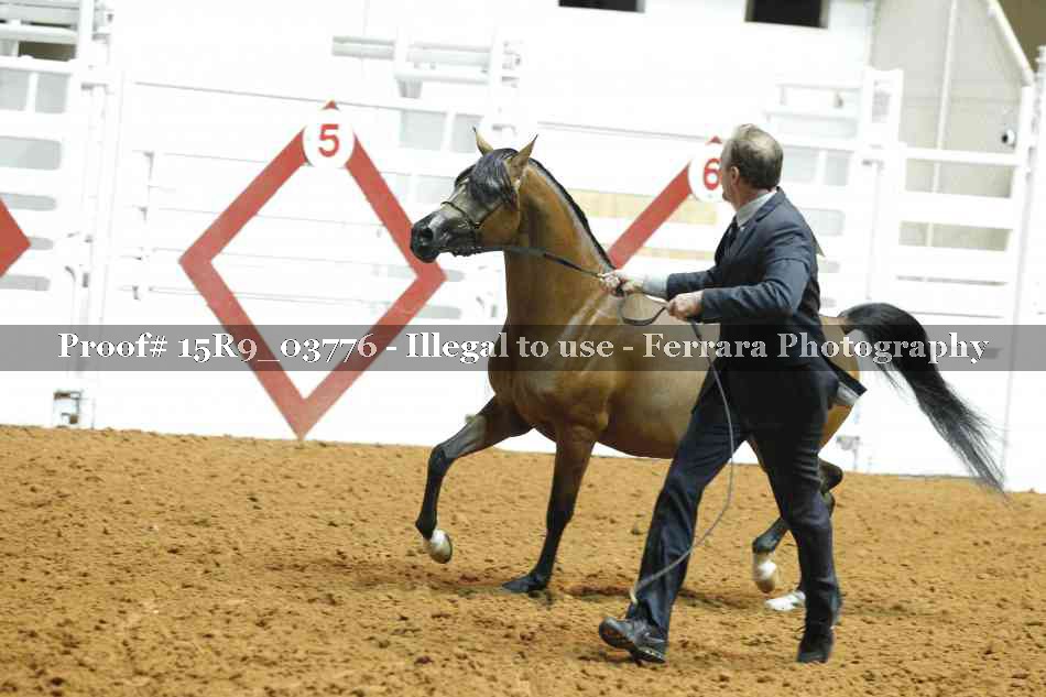 Proof 15R9_03776