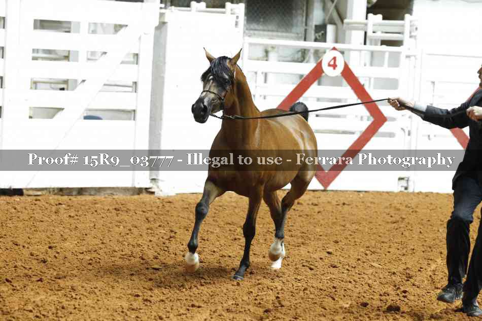 Proof 15R9_03777