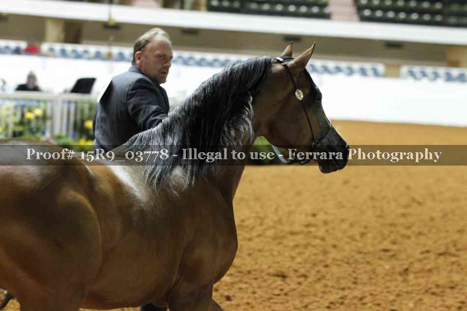Proof 15R9_03778