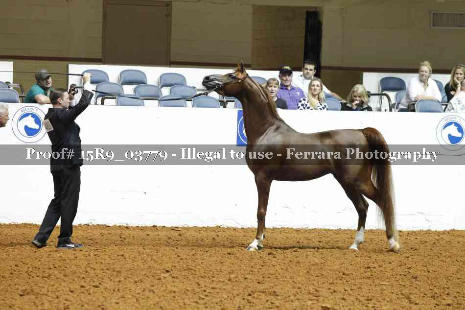 Proof 15R9_03779