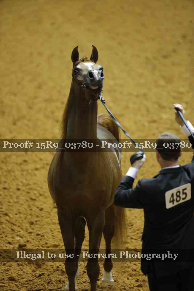 Proof 15R9_03780