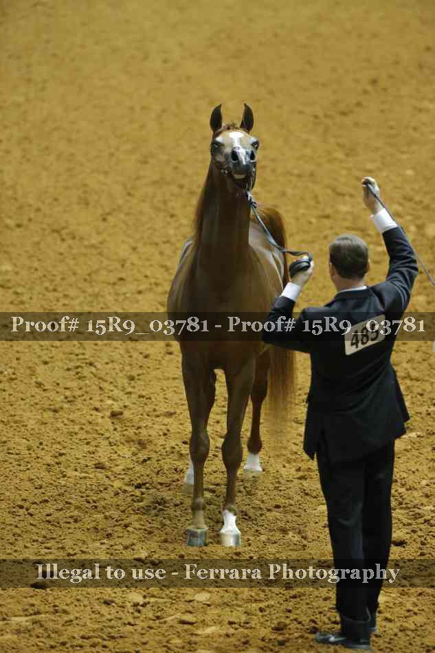 Proof 15R9_03781