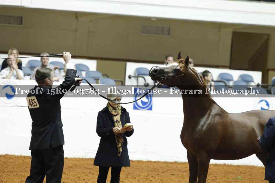 Proof 15R9_03783