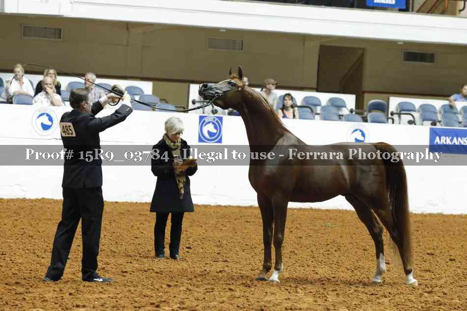 Proof 15R9_03784