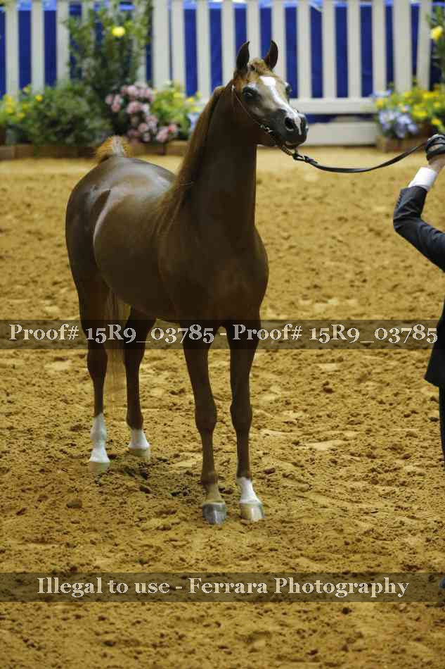 Proof 15R9_03785