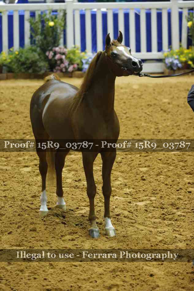 Proof 15R9_03787