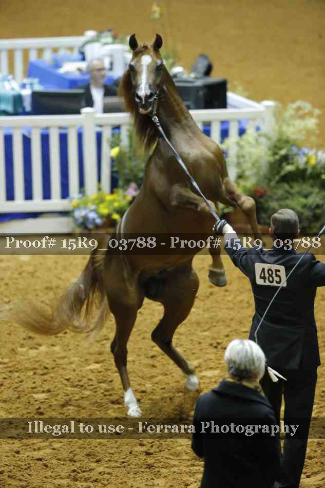Proof 15R9_03788