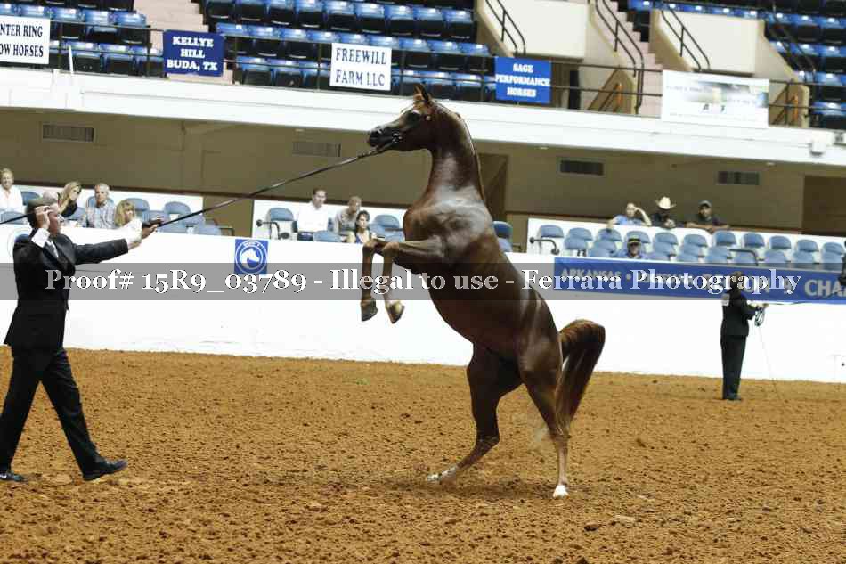 Proof 15R9_03789