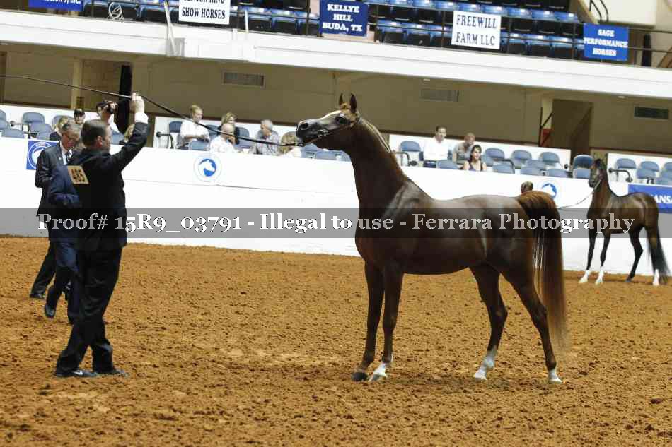 Proof 15R9_03791