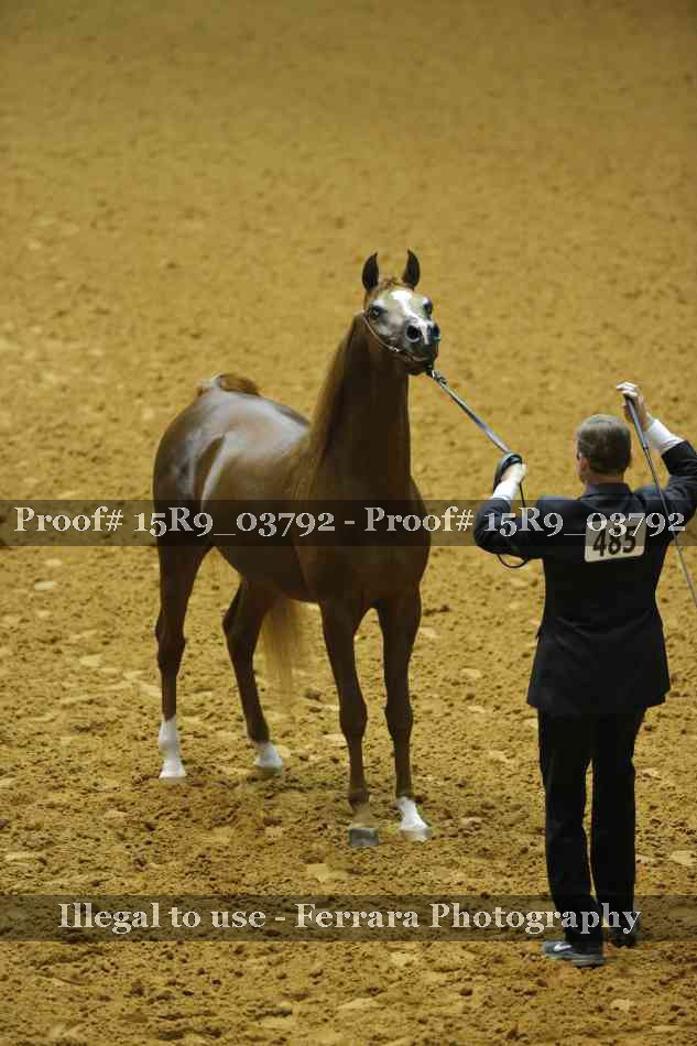 Proof 15R9_03792