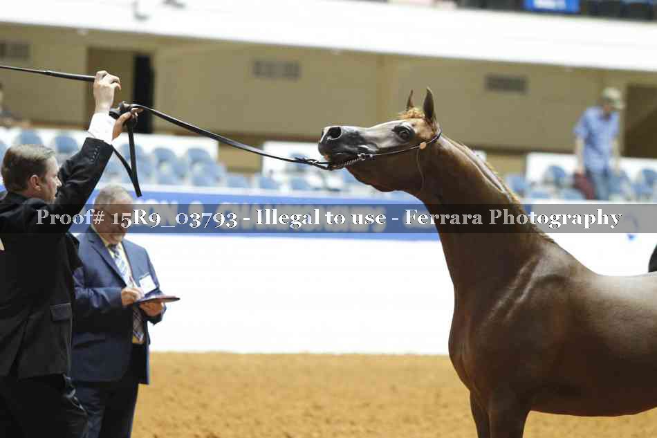 Proof 15R9_03793