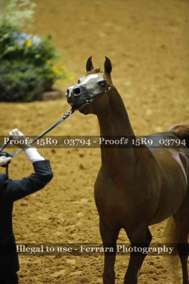Proof 15R9_03794