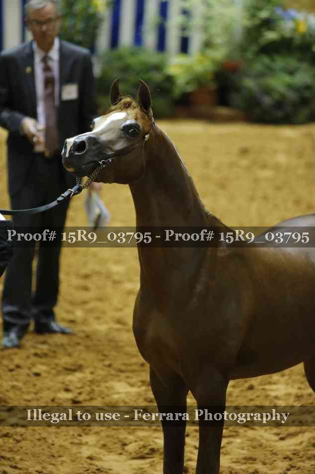 Proof 15R9_03795