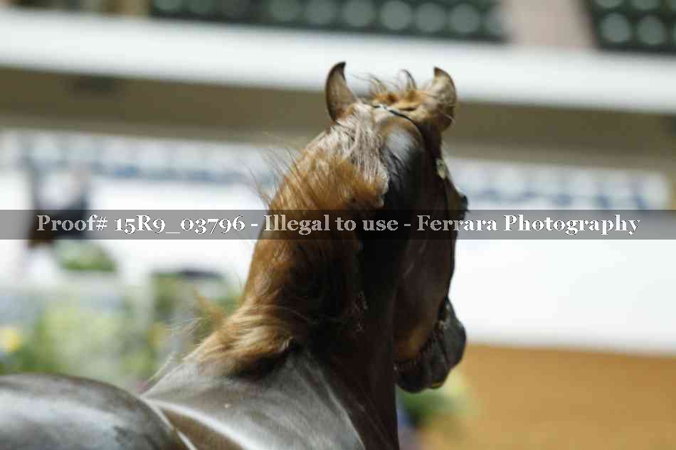 Proof 15R9_03796