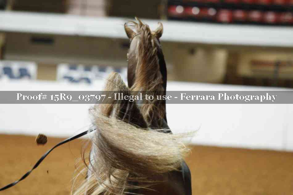 Proof 15R9_03797