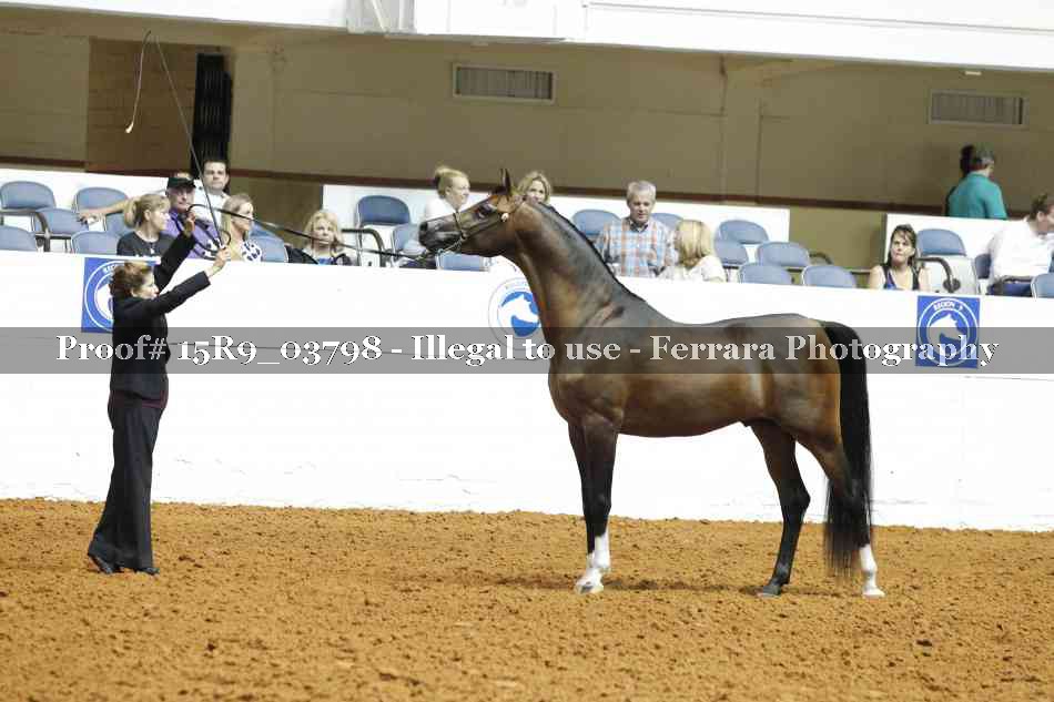 Proof 15R9_03798