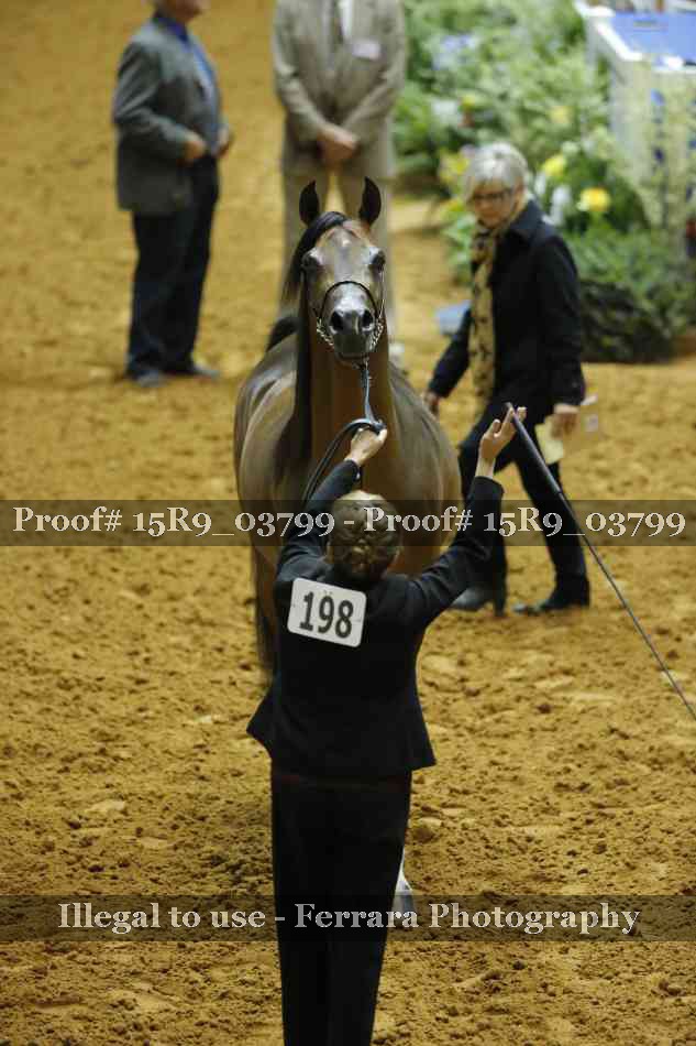 Proof 15R9_03799