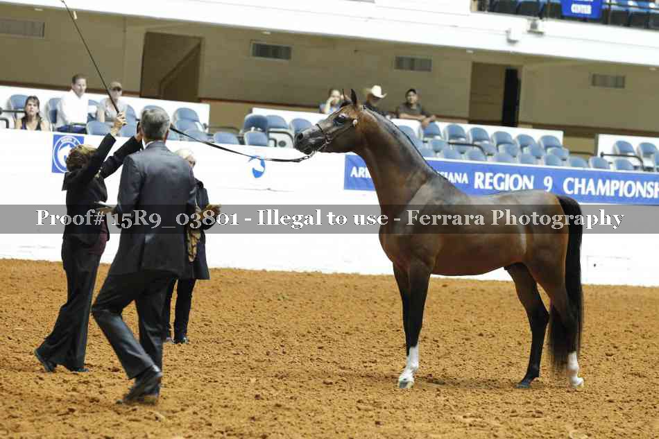 Proof 15R9_03801
