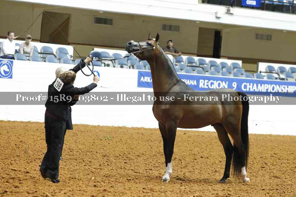 Proof 15R9_03802