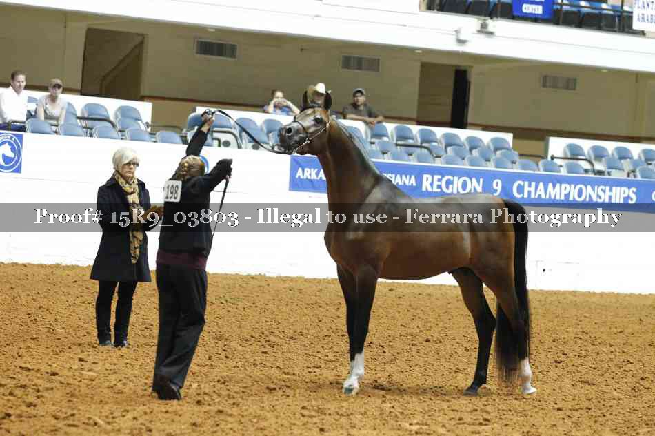 Proof 15R9_03803