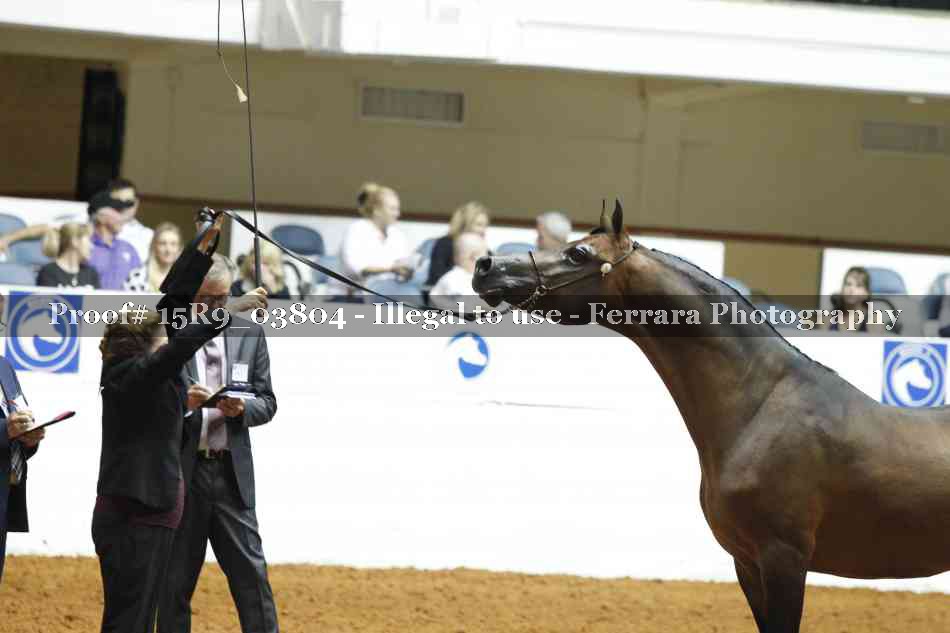Proof 15R9_03804