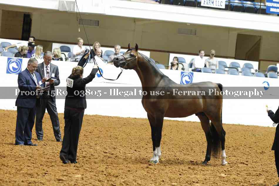 Proof 15R9_03805