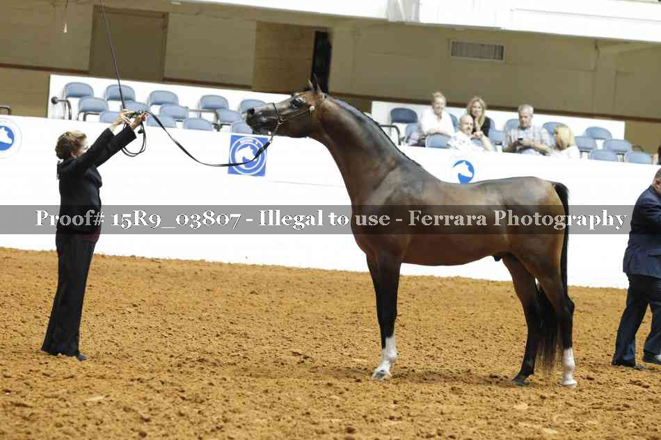 Proof 15R9_03807