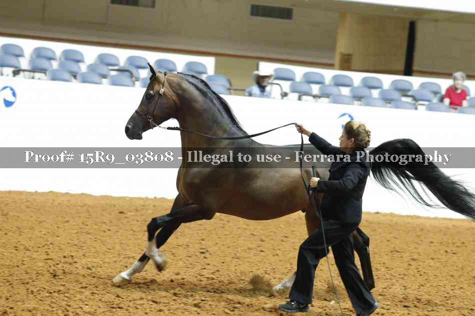 Proof 15R9_03808