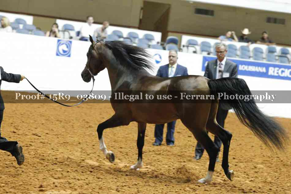 Proof 15R9_03809