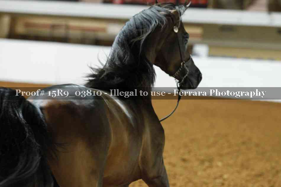Proof 15R9_03810