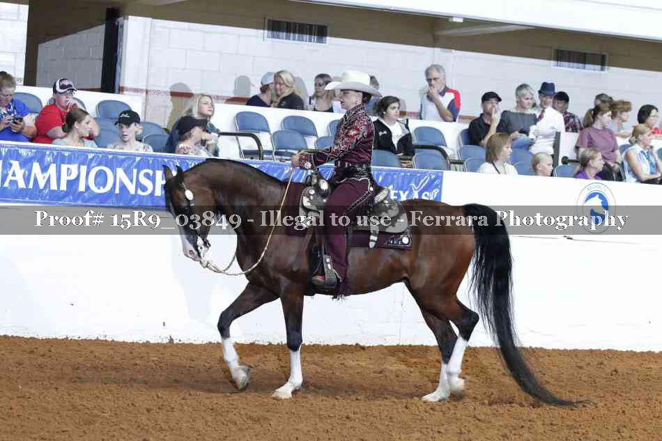 Proof 15R9_03849