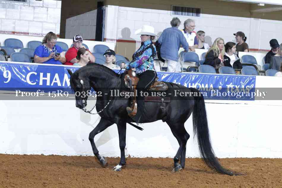 Proof 15R9_03852
