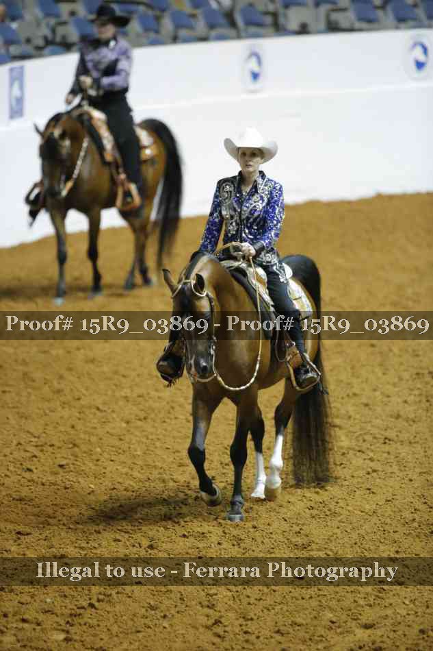 Proof 15R9_03869