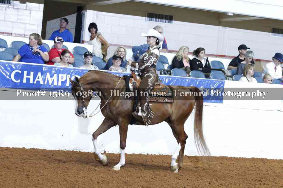 Proof 15R9_03871