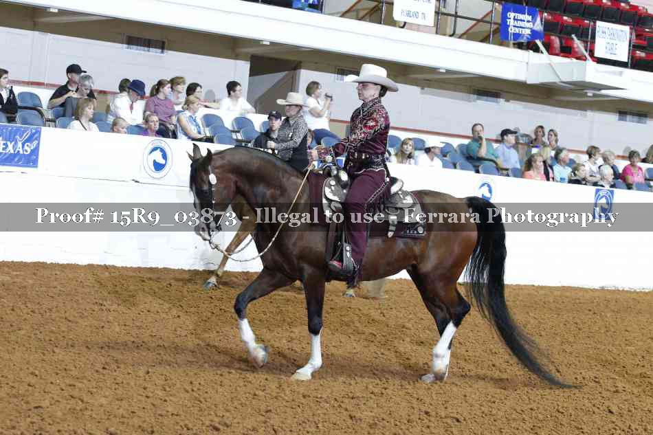 Proof 15R9_03873