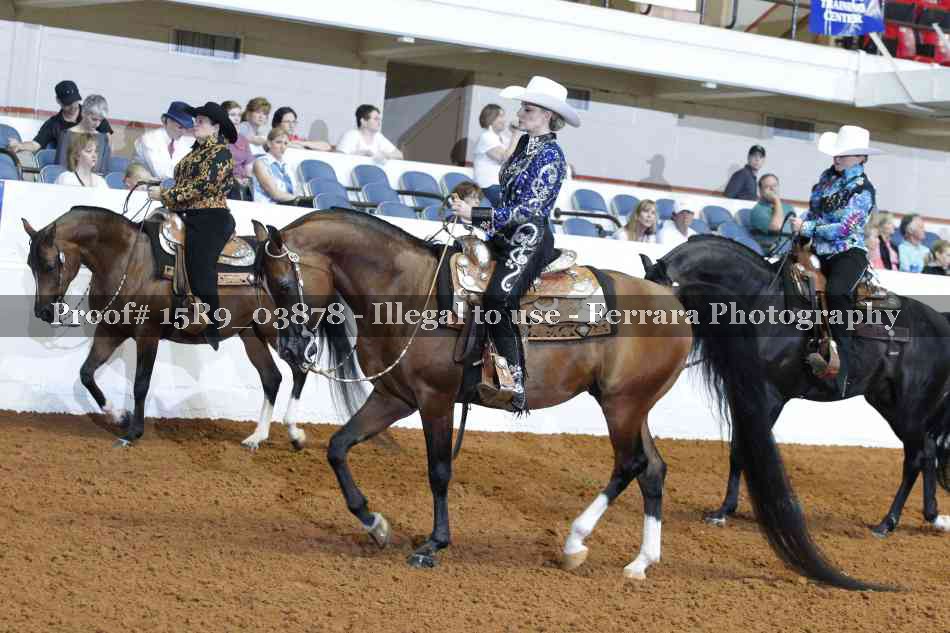 Proof 15R9_03878