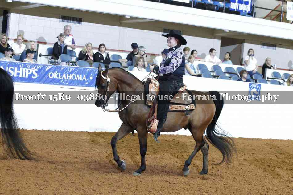 Proof 15R9_03880