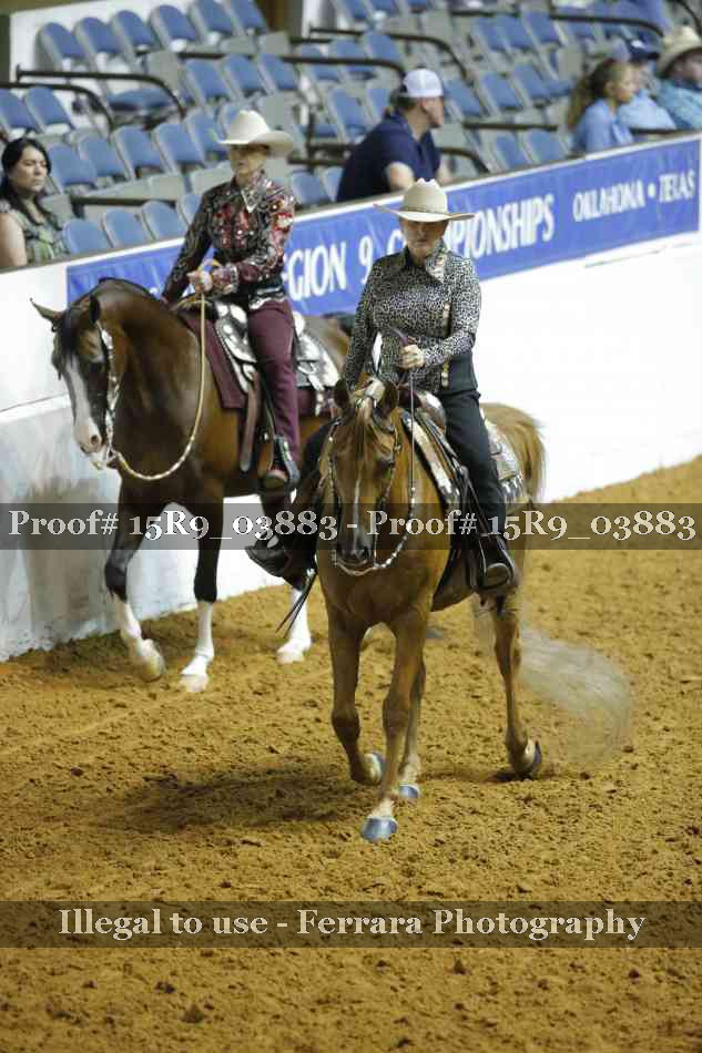 Proof 15R9_03883