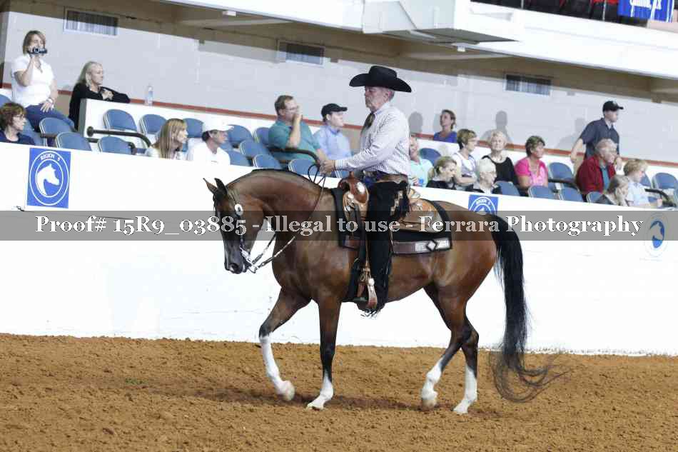 Proof 15R9_03885