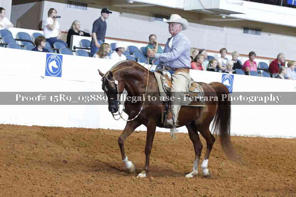 Proof 15R9_03889