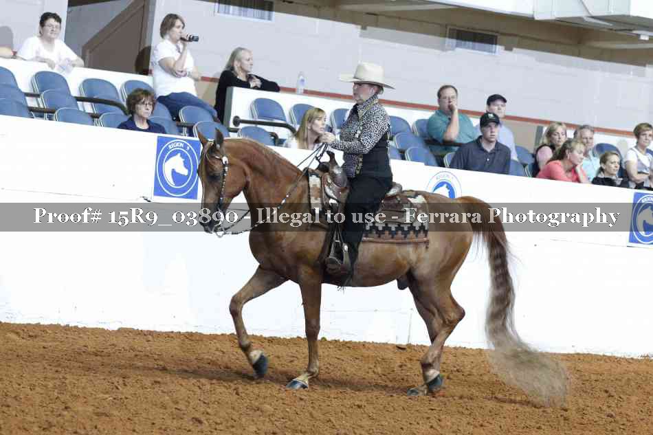 Proof 15R9_03890