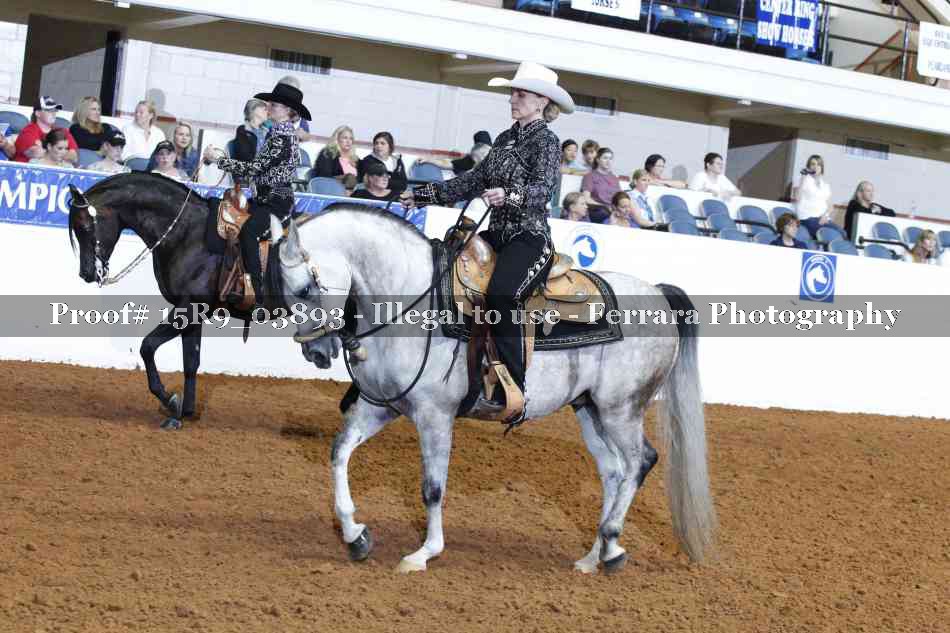 Proof 15R9_03893