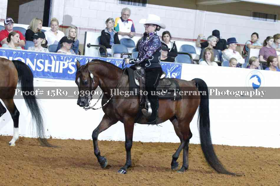 Proof 15R9_03900