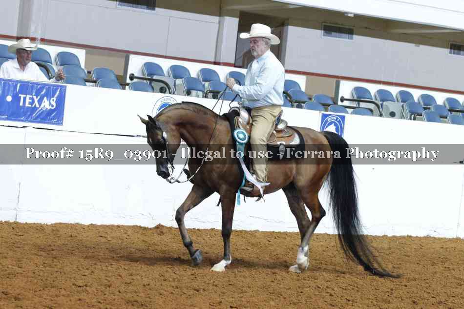 Proof 15R9_03901