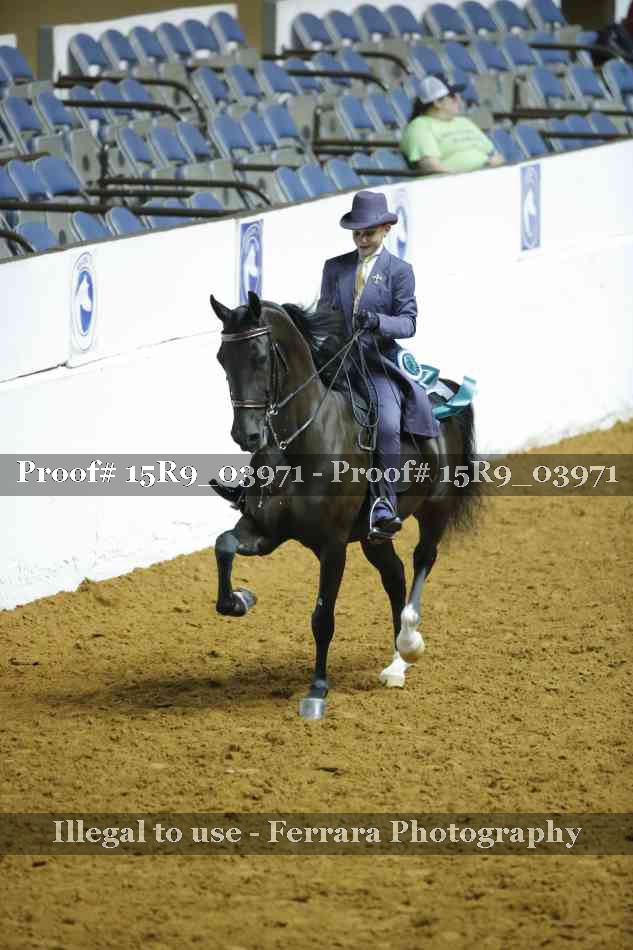 Proof 15R9_03971
