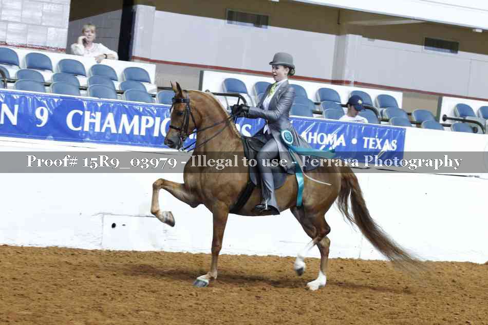 Proof 15R9_03979