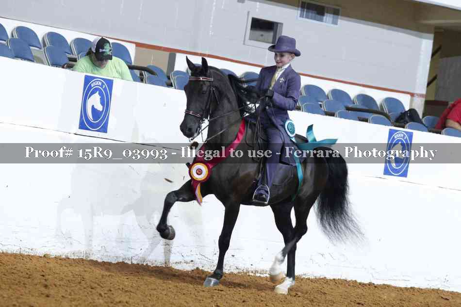Proof 15R9_03993