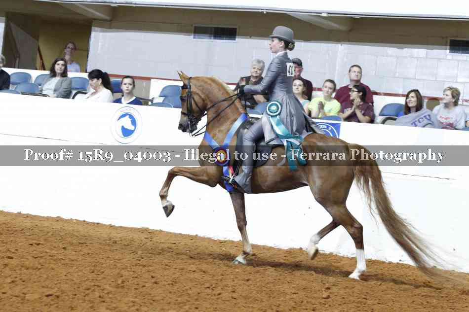 Proof 15R9_04003
