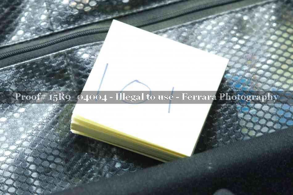 Proof 15R9_04004